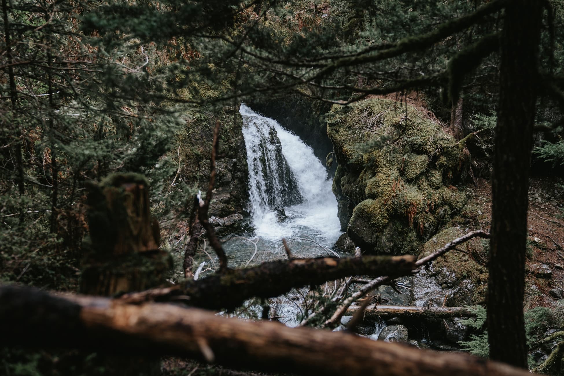 image-segmentaion-semantic-segmentaion-instance-segmentaion-machine-learning-data-science-guida-italiano